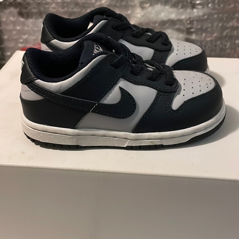 Nike Dunks Size 8c (Toddler)